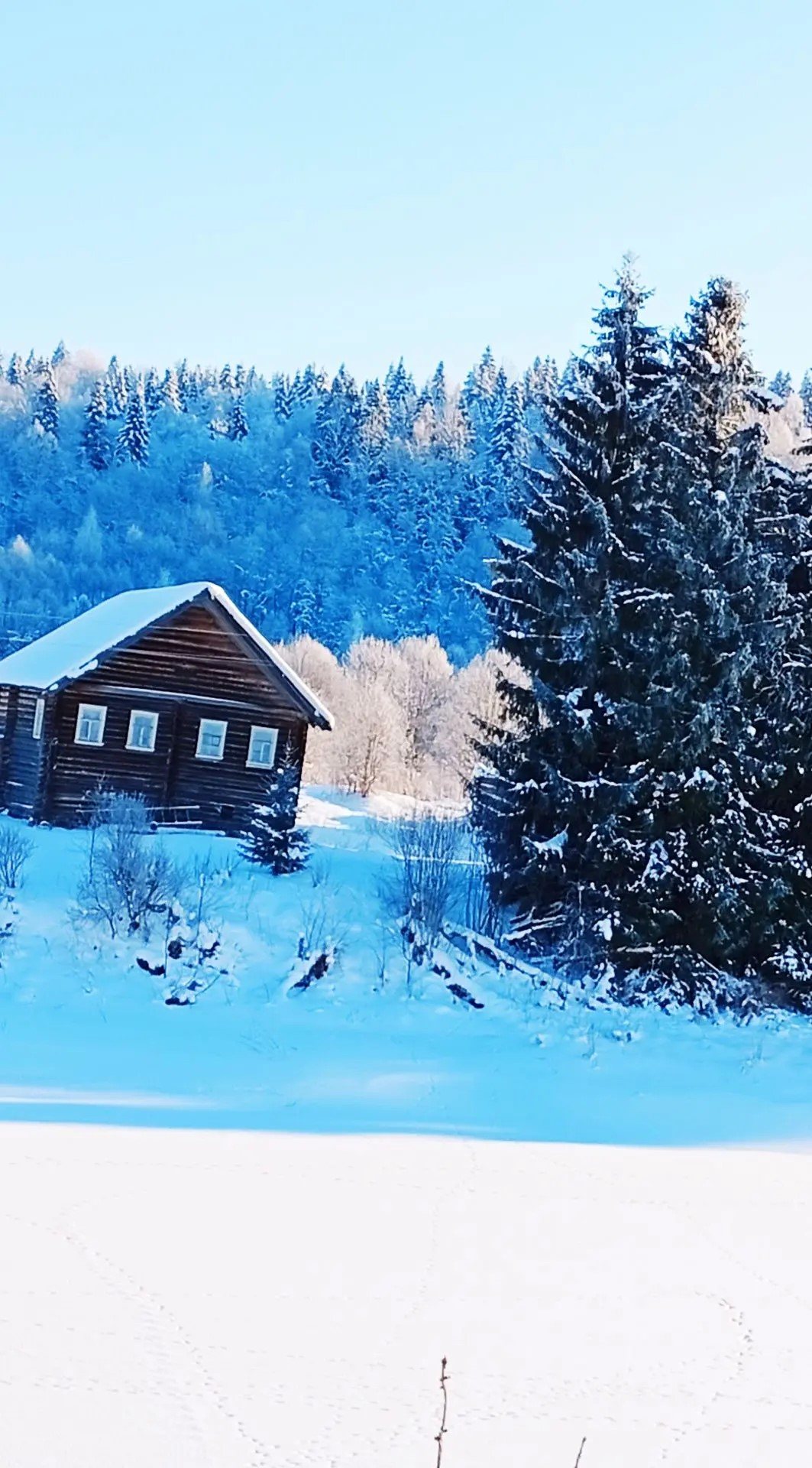 Охотничий дом